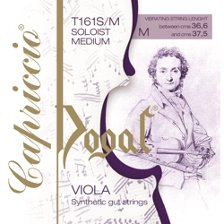 Capriccio Viola