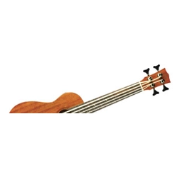 UKUBASS