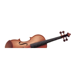 violin